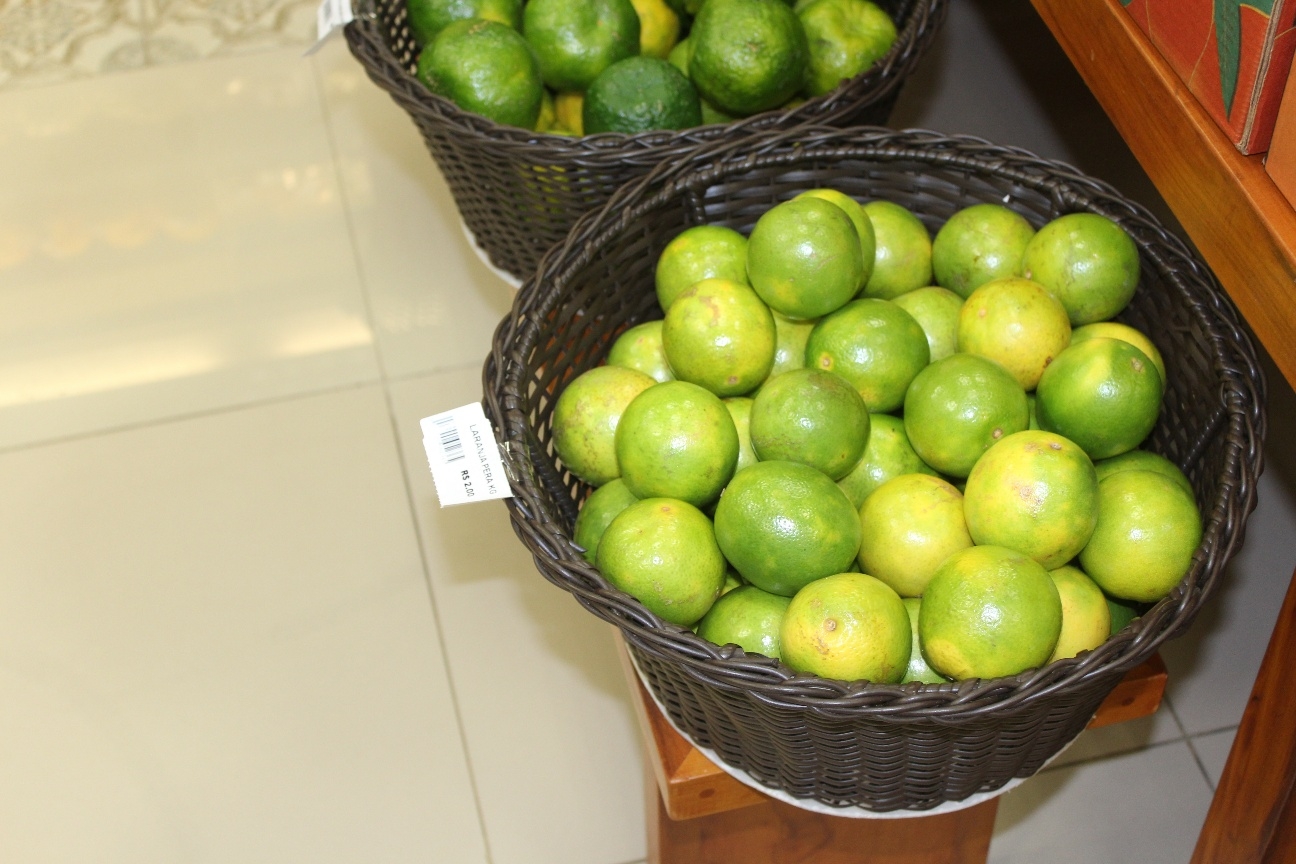 Empório Nelore de Ouro • Presidente Prudente - SP